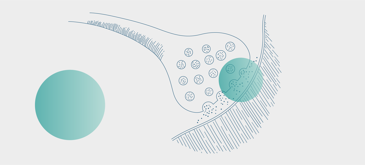 Illustration of a close-up view of a synaptic bouton with vesicles releasing neurotransmitters, with two transparent green dots overlaid on top.